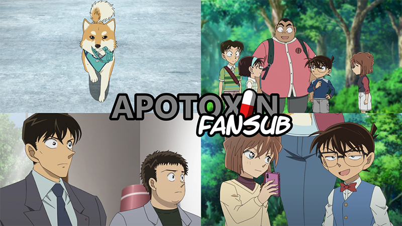 El amado perro Pan-kun es un buen chico